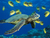 Green_sea_turtle_mini