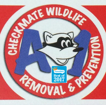 A 1 Checkmate Wildlife Removal  & Prevention.'s logo