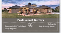 Professional Gutters 's logo