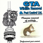 Gta Wildlife Removal And Pest Control's logo