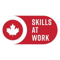 Over 55 Skills at Work's logo