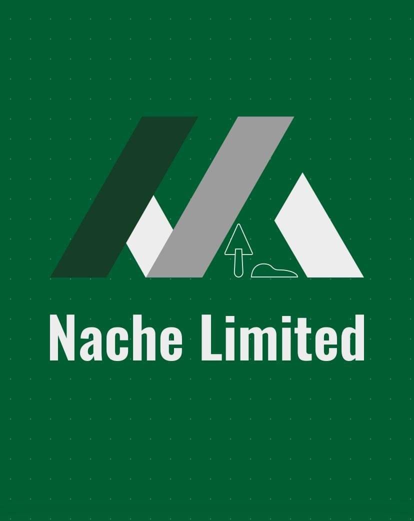Nache Limited's logo