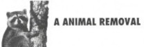 A1 Animal Removal, Inc.'s logo