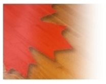 Canada Hardwood Flooring Inc.'s logo