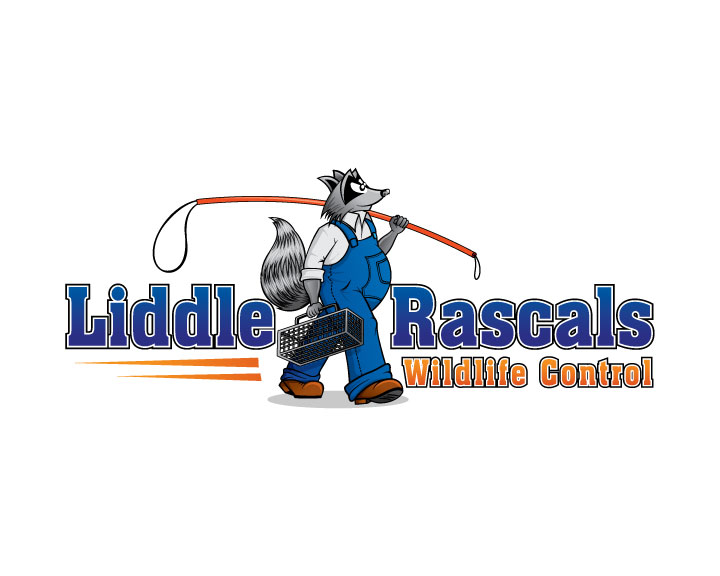 Liddle Rascals Wildlife Control's logo