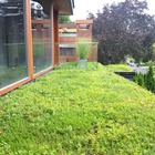 SKYSPACE Green Roofs from Toronto