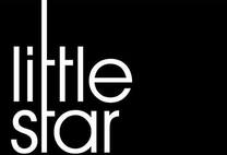 Little Star Renovations's logo