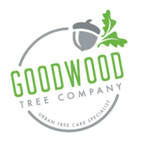 Goodwood Tree Company's logo