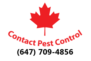 Contact Pest Control's logo