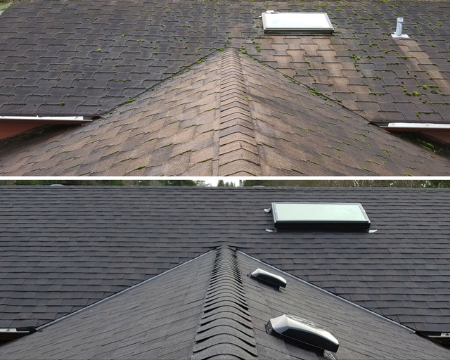 cooper roofs
