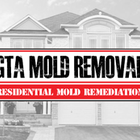 GTA Mold Removal Mississauga's logo