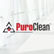 Puro Clean Of Greater Toronto Area's logo