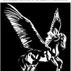 Pegasus Underpinning And Renovations's logo