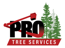 Pro Tree Service's logo