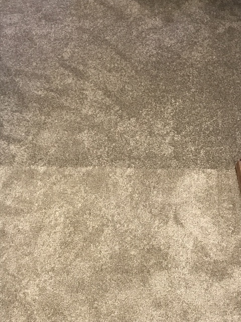 Carpet Replacement For Two Review Of Paramount Flooring