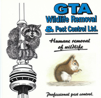 Gta Wildlife Removal And Pest Control's logo