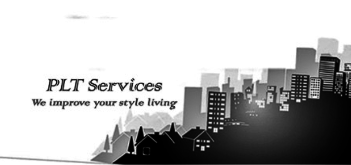 Plt Services's logo