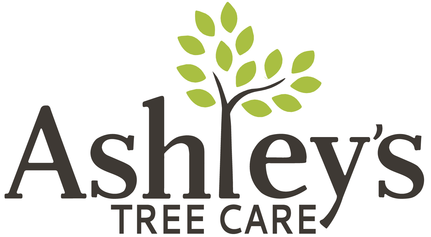 Ashley's Tree Care's logo