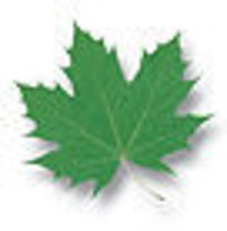 Green Leaf Roofing's logo