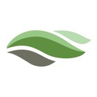 Bellevue Landscaping's logo