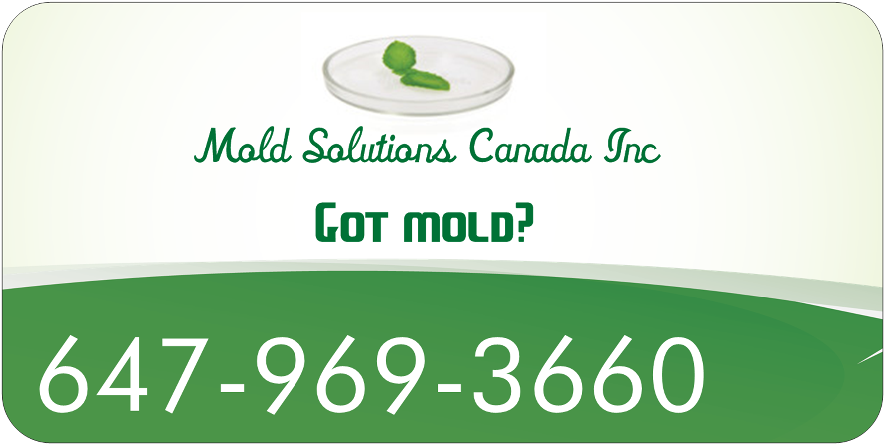 Mold Solutions Canada​'s logo