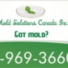 Mold Solutions Canada​'s logo