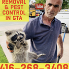 TSR Pest Control & Wildlife Animal Removal's logo