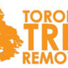 Toronto Tree Removal's logo