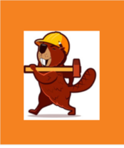 Beaver Construction Ltd.'s logo