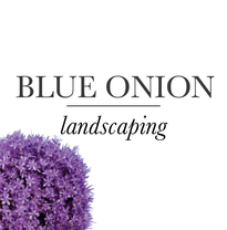 Blue Onion Landscaping's logo