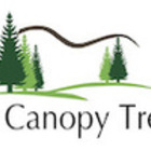 Open Canopy Tree Co.'s logo