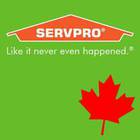 Servpro of Calgary South's logo