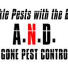 A.N.D. It’s Gone Pest Control's logo