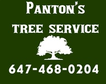Panton's Tree Service's logo