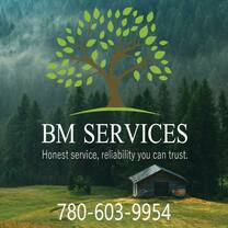 BM Services's logo