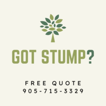 Got Stump?'s logo