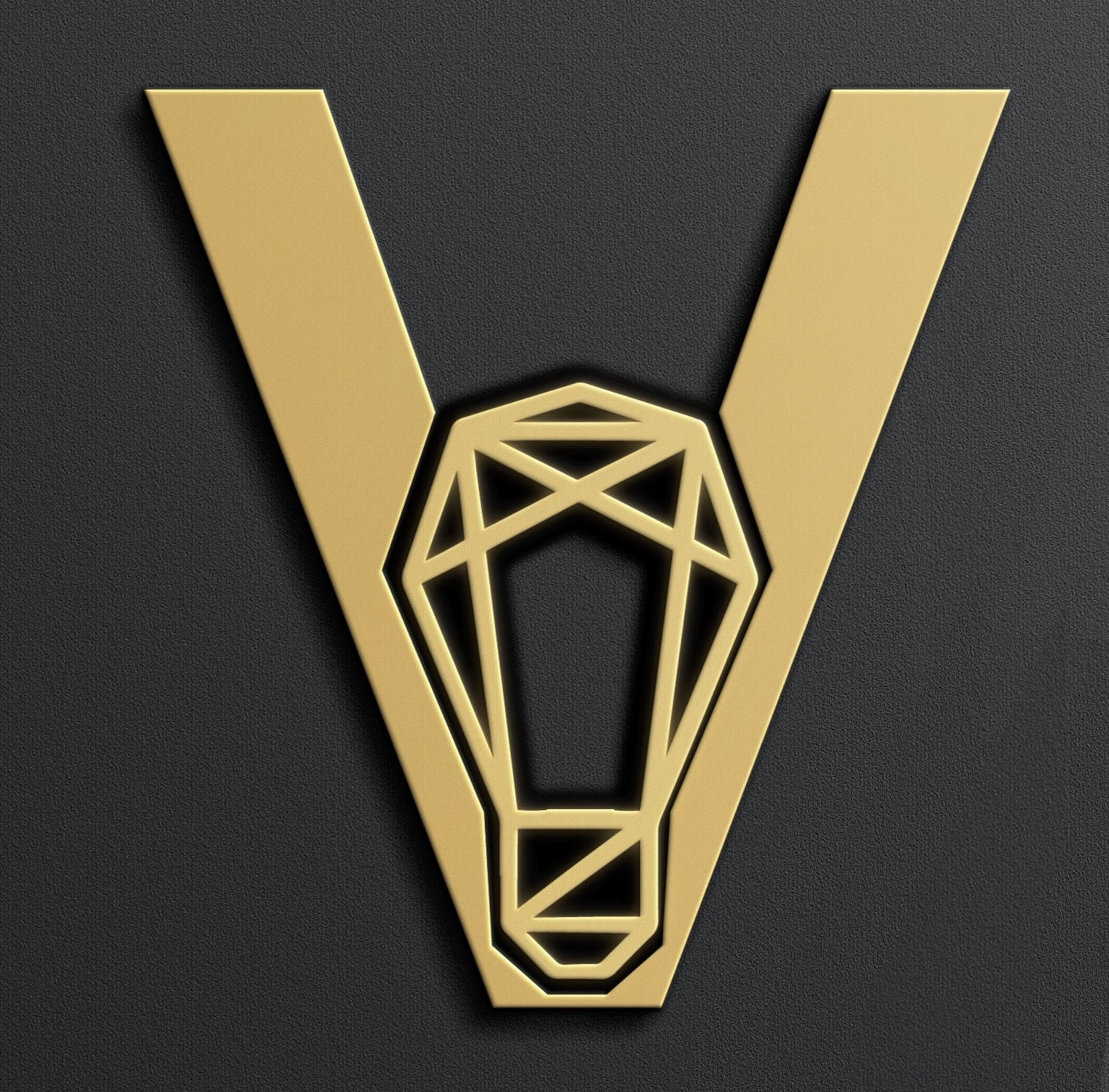 Vivid Electric Inc.'s logo