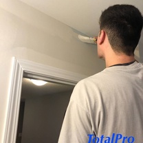 total pro home services 's logo