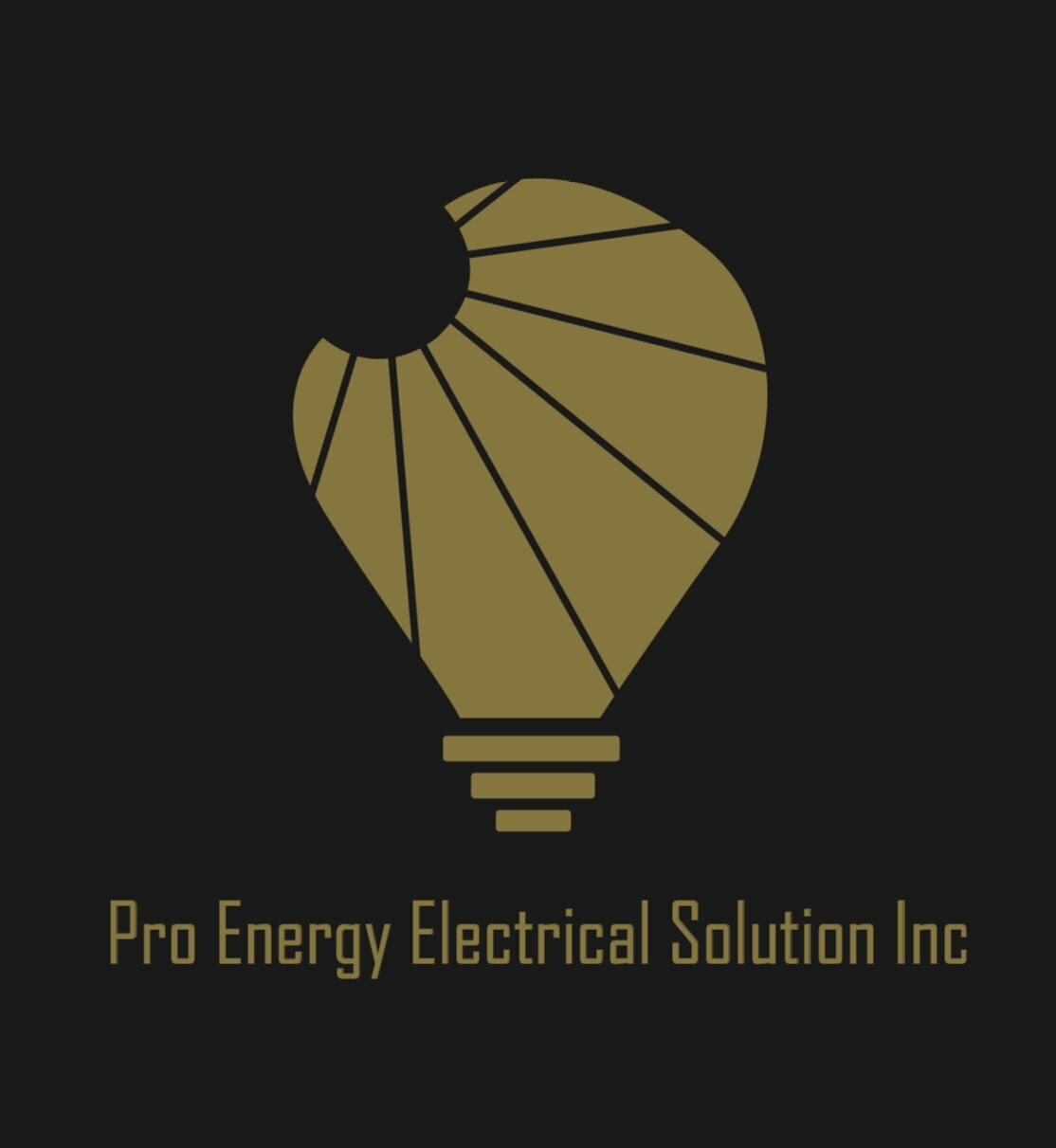 Pro Energy Electrical Solution Inc.'s logo
