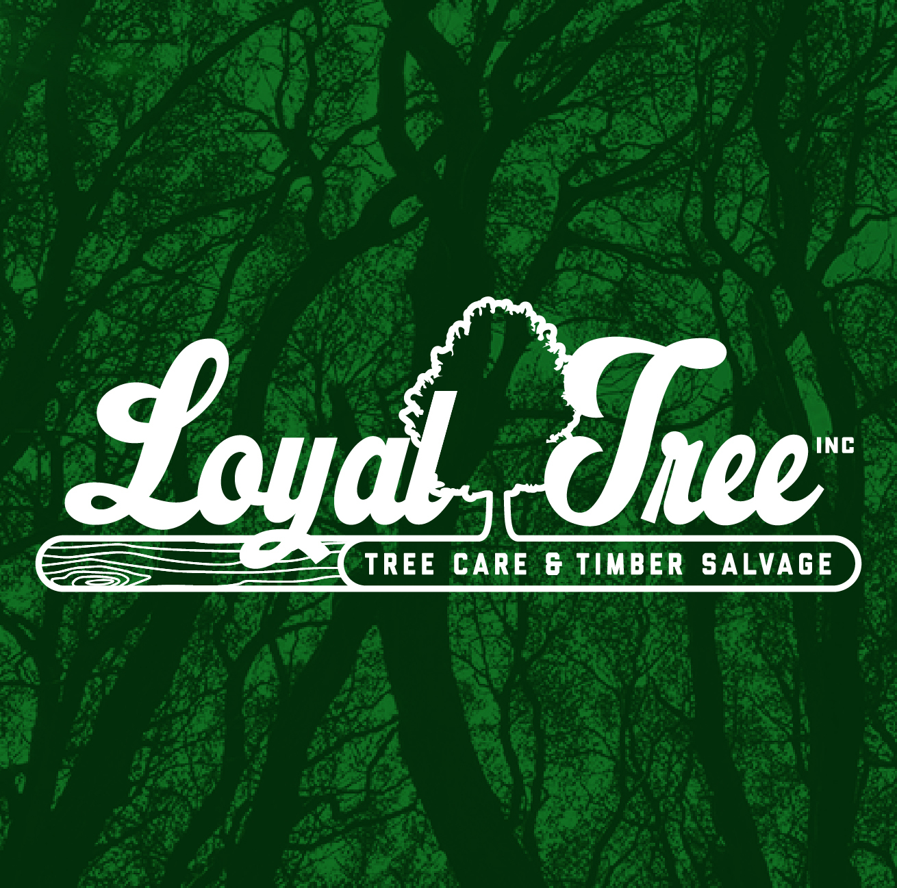 Loyal Tree Inc.'s logo