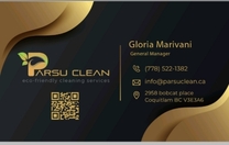 Parsu Cleaning Services's logo
