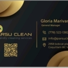 Parsu Cleaning Services's logo