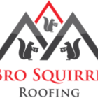 Three Bro Squirrels Roofing Services Toronto and GTA