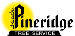 Pineridge Tree Service Ltd's logo