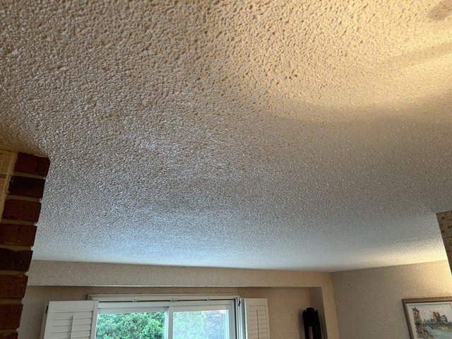 Popcorn Ceiling Removal Reviews