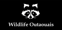 Extermination Wildlife Outaouais Inc.'s logo