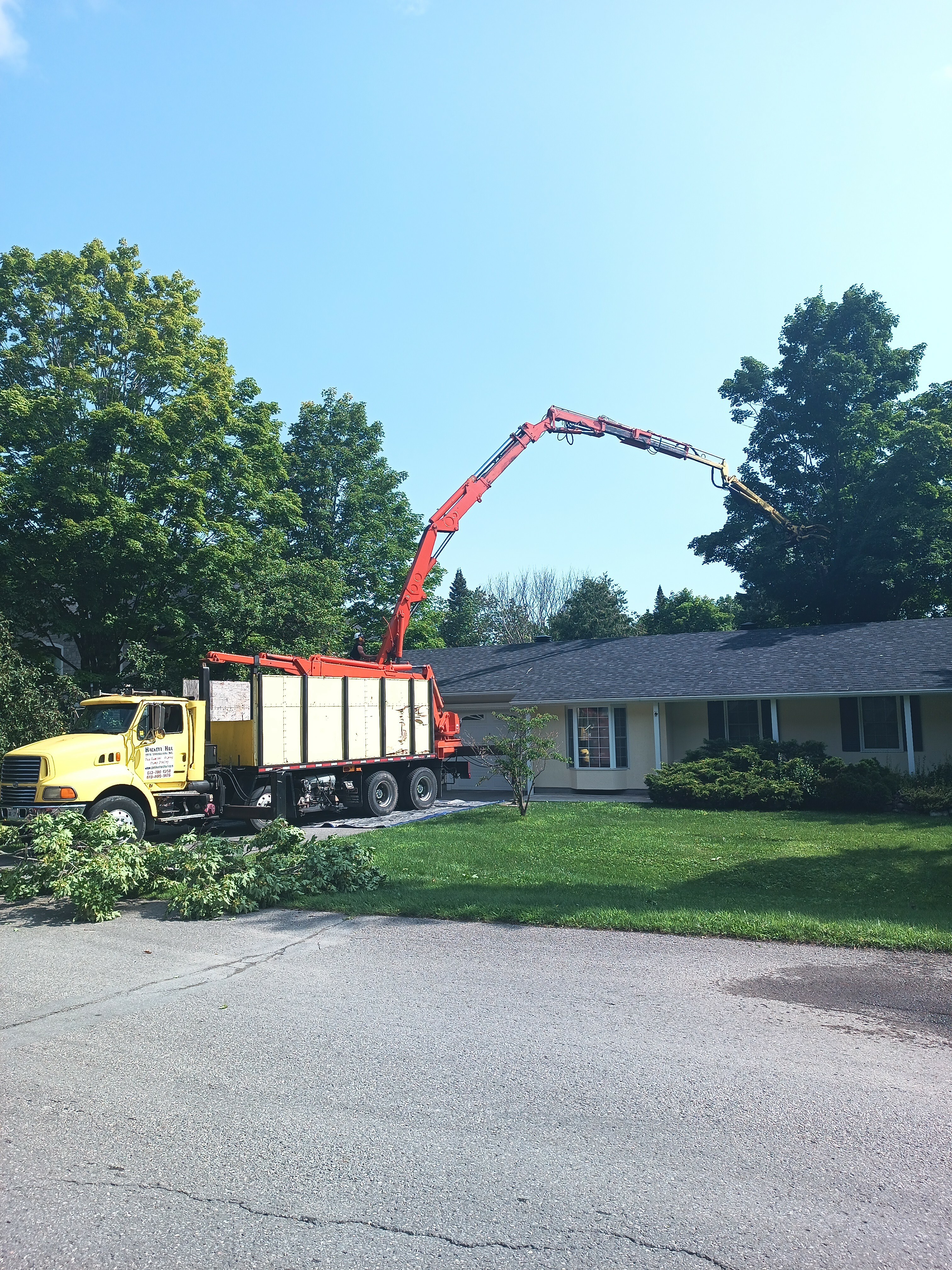 Tree Service in Ottawa Get Quotes On Homestars