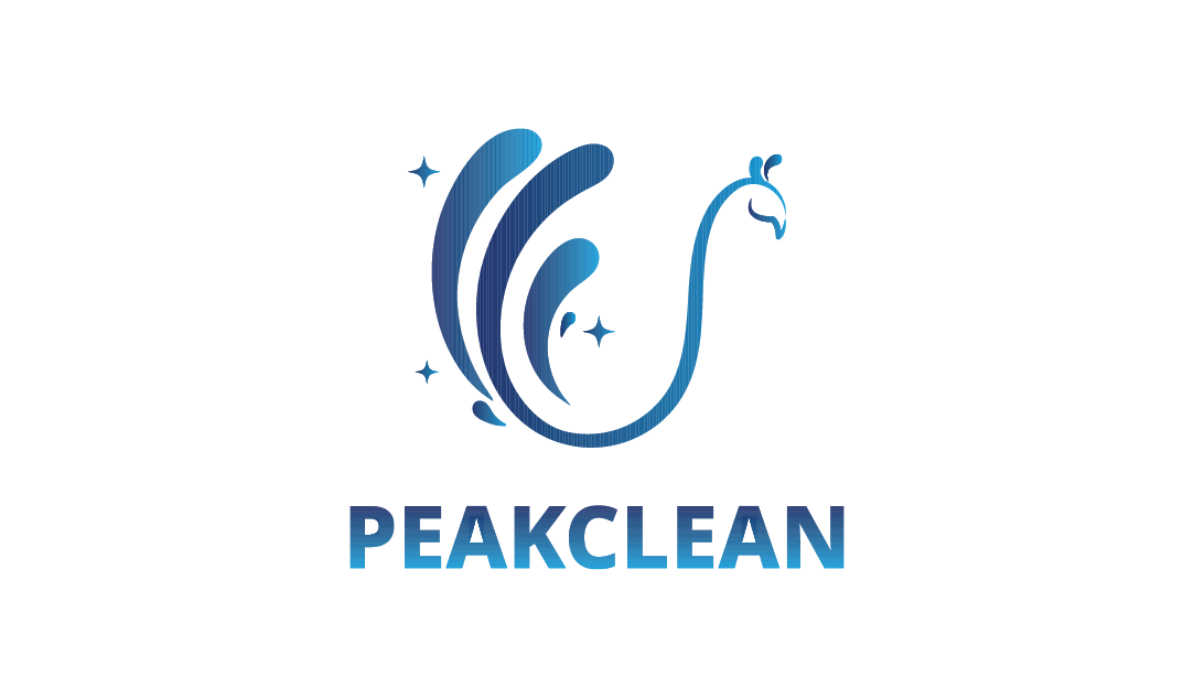PEAKCLEAN's logo