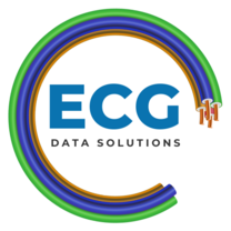 ECG Data Solutions's logo