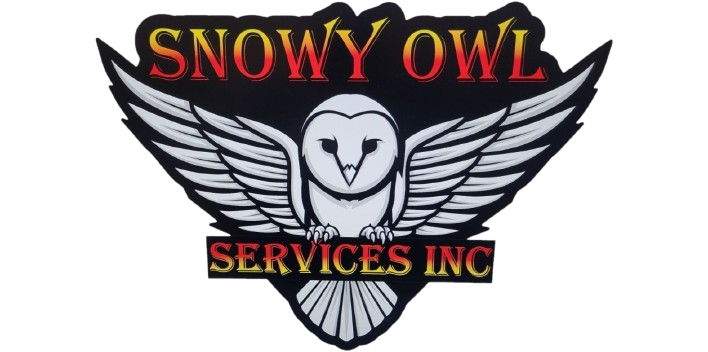 Snowy Owl Services Inc.'s logo